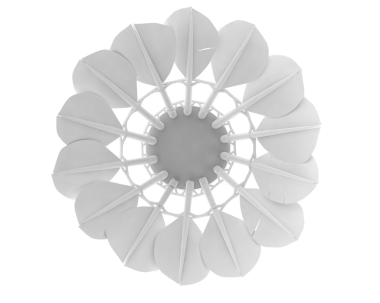 İzole edilmiş beyaz bir arkaplanda beyaz çiçek