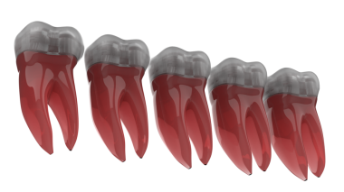 Beyaz arka planda 3 boyutlu dişler..