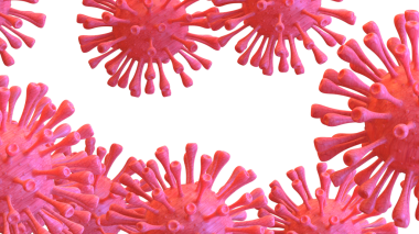 Virüs hücresinin 3 boyutlu görüntülenmesi