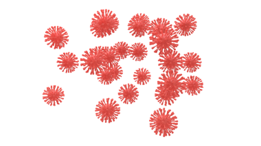 Kırmızı virüs virüsü. virüs enfeksiyonu.