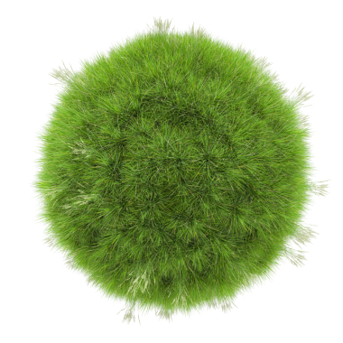 Beyaz arka plan üzerinde çim