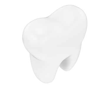 beyaz arkaplanda izole edilmiş diş