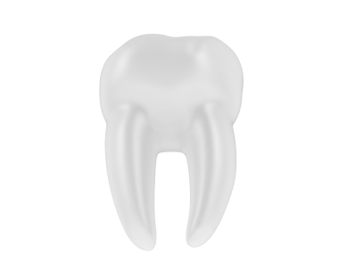 Beyaz arka planda izole edilmiş insan dişinin 3 boyutlu çizimi.