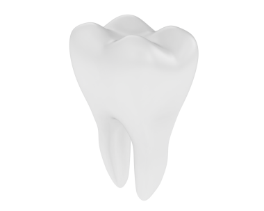 İnsan dişleri. 3d illüstrasyon