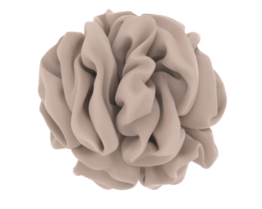 Beyaz üzerine izole edilmiş güzel pembe bir çiçek. 3D illüstrasyon, 3D canlandırma