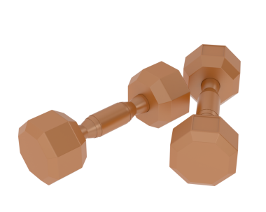 Fitness spor salonu dambılı simgesi, izometrik stil