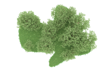 Koyu arkaplanda izole edilmiş yeşil bir fraktal ağacının 3 boyutlu görüntülenmesi