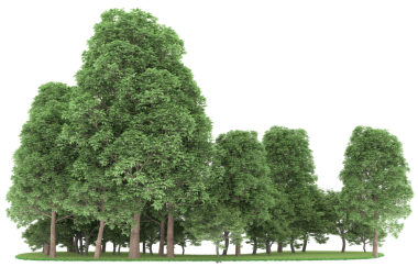 Büyük ağaç üzerinde beyaz arka plan illüstrasyon