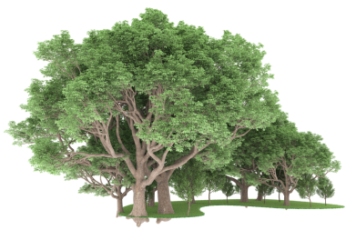 Yeşil bir ağacın vektör illüstrasyonu