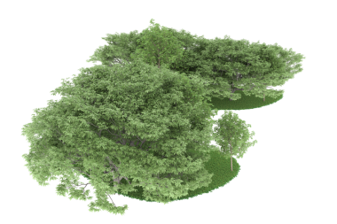 Beyaz arkaplandaki ağaç 3 boyutlu görüntüleme