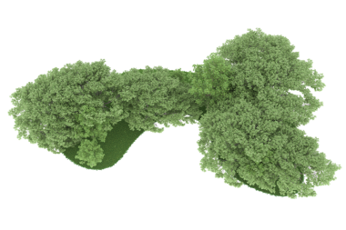 Tasarımınız için beyaz arkaplanda izole edilmiş bir ağacın 3 boyutlu görüntülenmesi