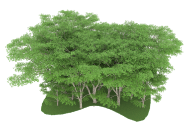 Beyaz arkaplanda izole edilmiş yeşil bir ağacın 3 boyutlu görüntüsü.
