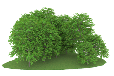 Beyaz arka planda izole edilmiş ağaç. 3d illüstrasyon - illüstrasyon