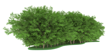 Yeşil ağaç. 3D görüntüleme. beyaz üzerine izole