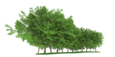 ağacın vektör illüstrasyonu