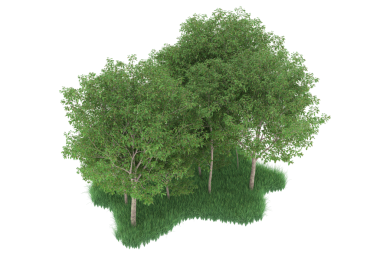 Beyaz arkaplanda 3 boyutlu hazırlama ağacı