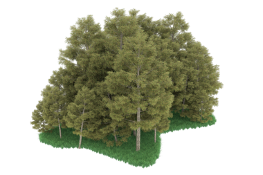 Beyaz arkaplanda izole edilmiş tek bir çam ağacının 3 boyutlu görüntüsü