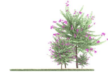 Kırpma yolu olan beyaz arkaplanda izole edilmiş Noel ağacı