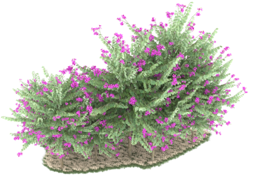 Siyah arkaplanı olan yeşil bir ağacın 3 boyutlu canlandırması