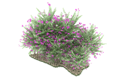 3D görüntüleme - çiçekli çalılık beyaz arkaplanda izole