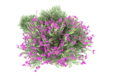 Beyaz arka planda izole edilmiş noel ağacı. 3d illüstrasyon