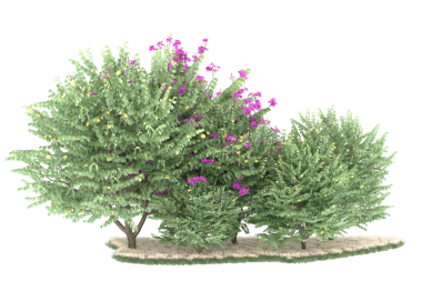 Beyaz arkaplanda 3 boyutlu izole edilmiş noel ağacı