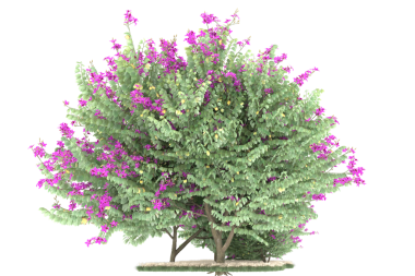 Beyaz arkaplanda 3 boyutlu bir noel ağacı çizimi