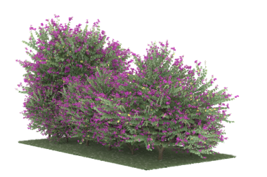 Siyah arkaplanda 3 boyutlu çalılık görüntüleme