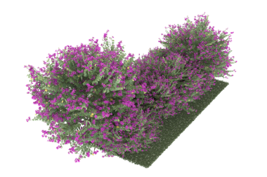 Beyaz arkaplanda izole edilmiş ağaç