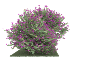 Siyah bir arkaplanda 3 boyutlu bir çalılık görüntüsü