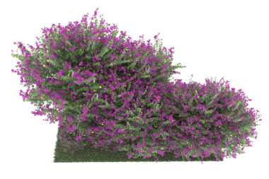 3D görüntüleme - izole edilmiş siyah arkaplanda çiçekli ağaç