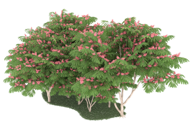 3 boyutlu pembe ağaç.