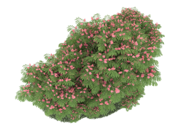 Siyah arka planda yeşil bir bitki. izole edilmiş 3d illüstrasyon