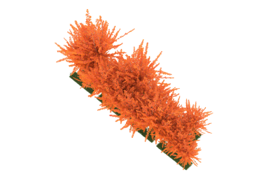 Noel ağacı üzerinde arka plan izole