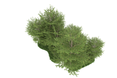 siyah zemin üzerine yeşil ağaç