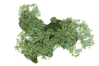 Siyah arkaplanda yeşil yaprak