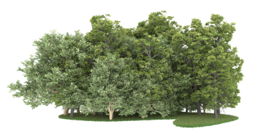 Beyaz zemin üzerinde yeşil ağaç, beyaz zemin üzerinde izole edilmiş, 3 boyutlu illüstrasyon.