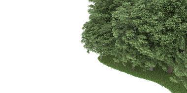 Beyaz arkaplanda yeşil ağaçlar ve yapraklar.