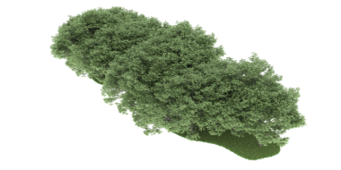 Güney Carolina haritası, yeşil