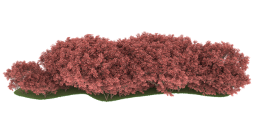 Siyah zemin üzerinde yeşil yosun bulunan kırmızı bulutun 3 boyutlu görüntüsü.