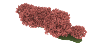 Beyaz arkaplanda izole edilmiş bir ağacın 3 boyutlu görüntülenmesi.