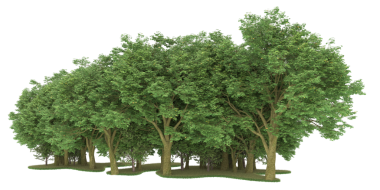 Beyaz arkaplanda yeşil ağaç, 3 boyutlu illüstrasyon