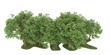 İzole edilmiş bir ağacın beyaz arkaplandaki 3 boyutlu görüntüsü