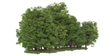 kırpma yolu ile izole ağaç - 3 d illüstrasyon