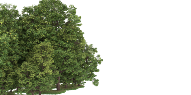 Beyaz arka plan üzerinde izole yeşil ağaçlar