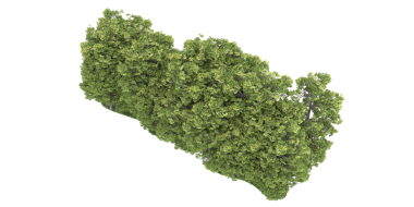 Beyaz arka planda yeşil yosun. 3D görüntüleme. izole resim