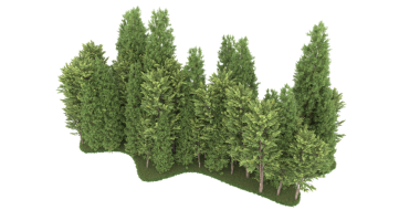 3 boyutlu yeşil ağaçlar beyazda izole edilmiş.