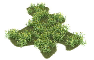 İsveç haritası, yeşil yapraklar, beyaz arkaplanda izole edilmiş