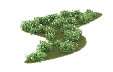 Beyaz arkaplanda yeşil çimen izole