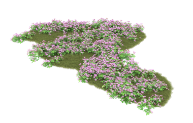 İsviçre haritası izole edildi